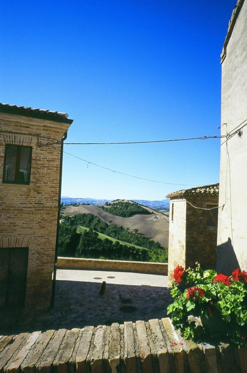Agriturismo Pozzuolo Serrungarina 外观 照片