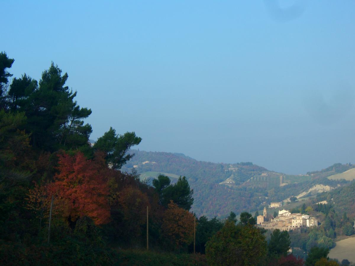Agriturismo Pozzuolo Serrungarina 外观 照片