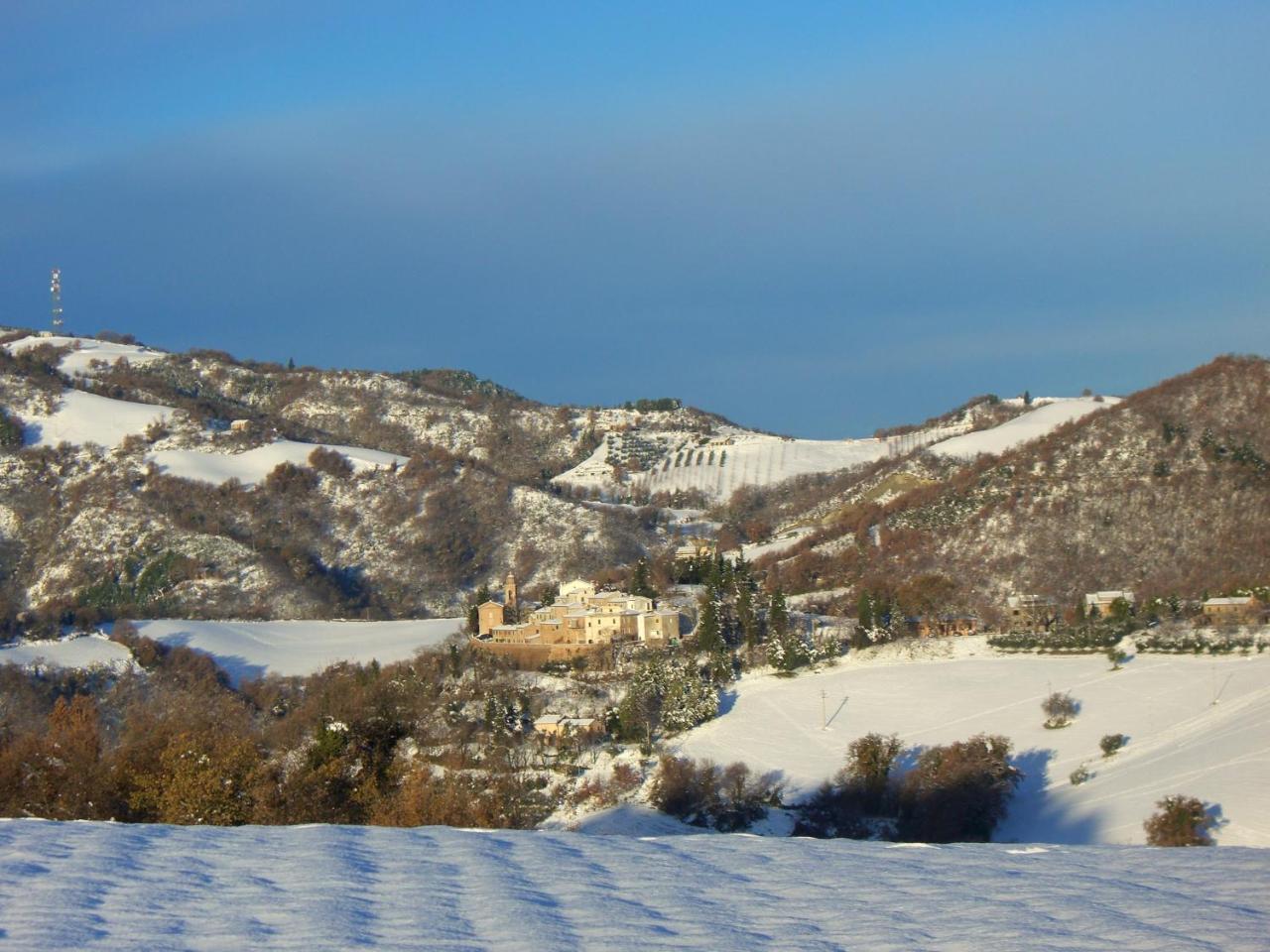 Agriturismo Pozzuolo Serrungarina 外观 照片