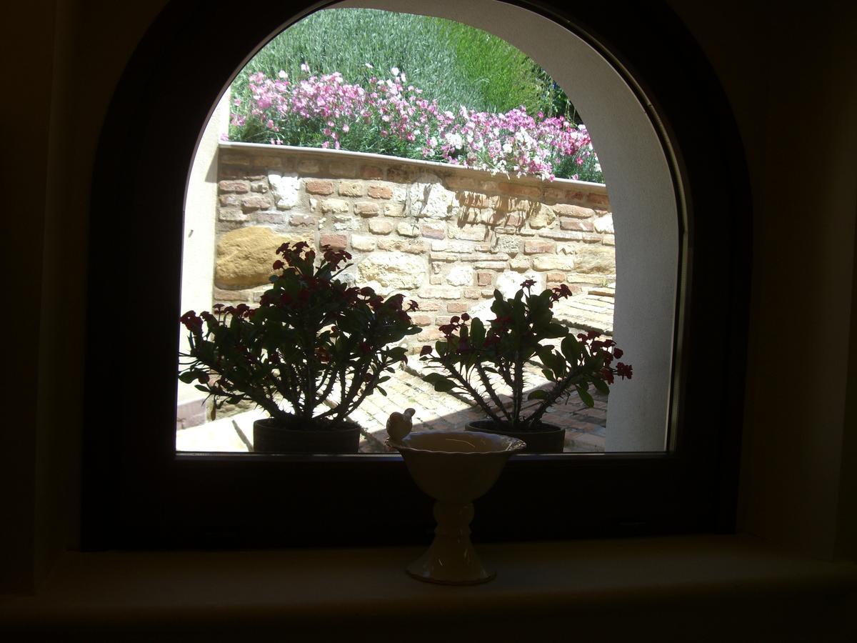 Agriturismo Pozzuolo Serrungarina 外观 照片