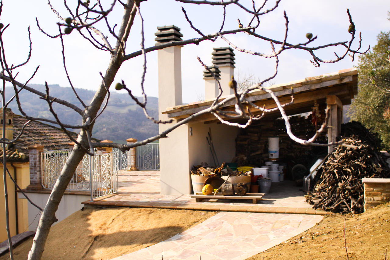 Agriturismo Pozzuolo Serrungarina 外观 照片