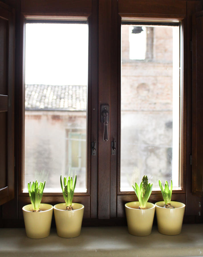 Agriturismo Pozzuolo Serrungarina 外观 照片
