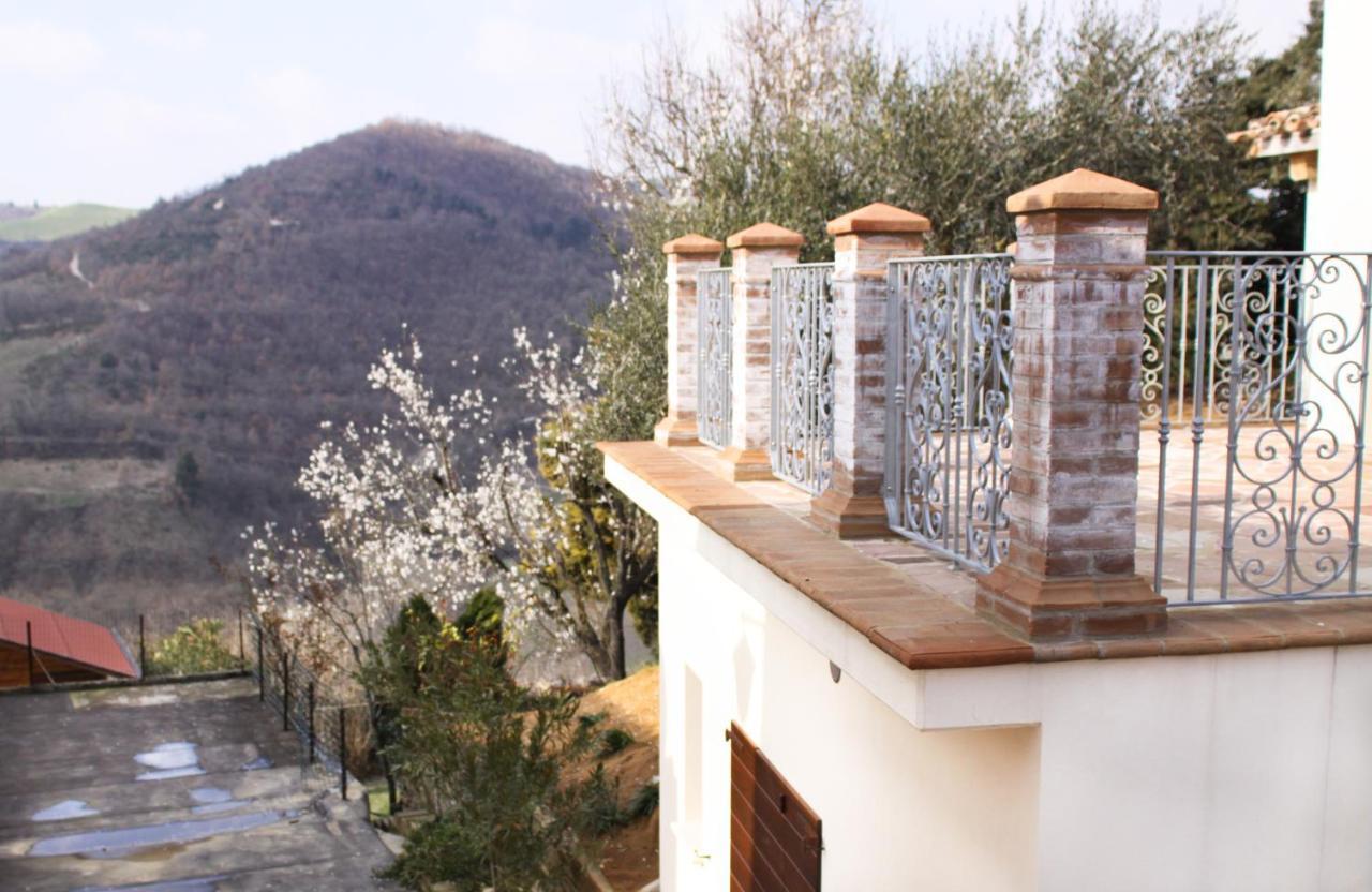 Agriturismo Pozzuolo Serrungarina 外观 照片