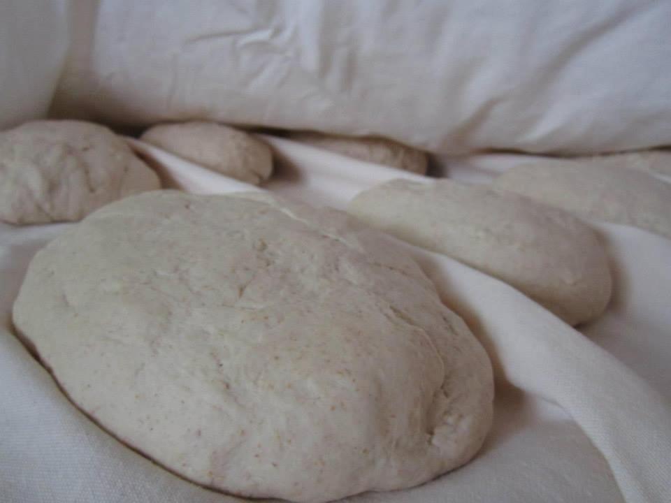Agriturismo Pozzuolo Serrungarina 外观 照片